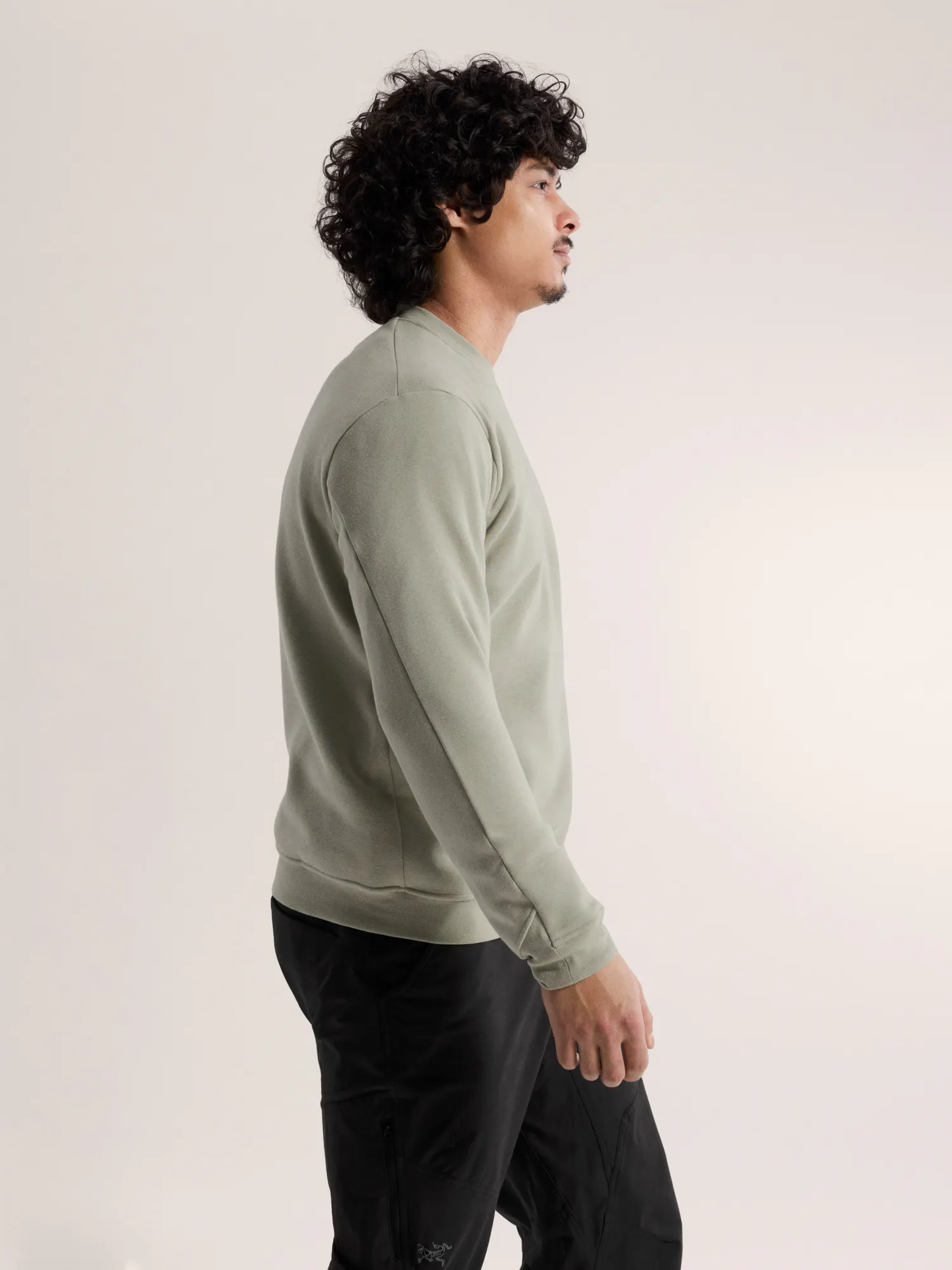 Emblem Fleece Crew Neck Pullover Men's | Arc'teryx United States