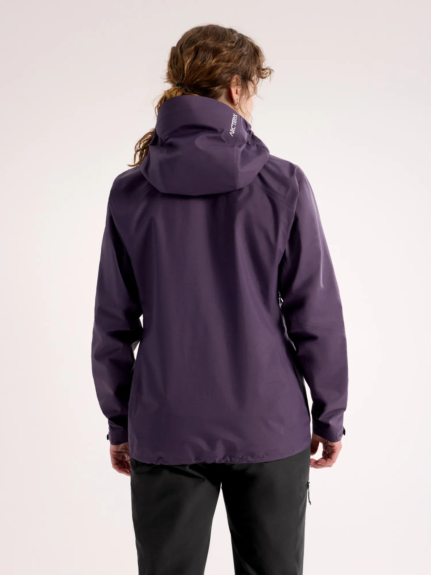 美品 アークテリクス ARCTERYX ジャケット BETA SL ベータ 10969 ナイロン GORE-TEX アウター レディース S パープル Arc'teryx Beta SL Jacket W - Alpine World Shop