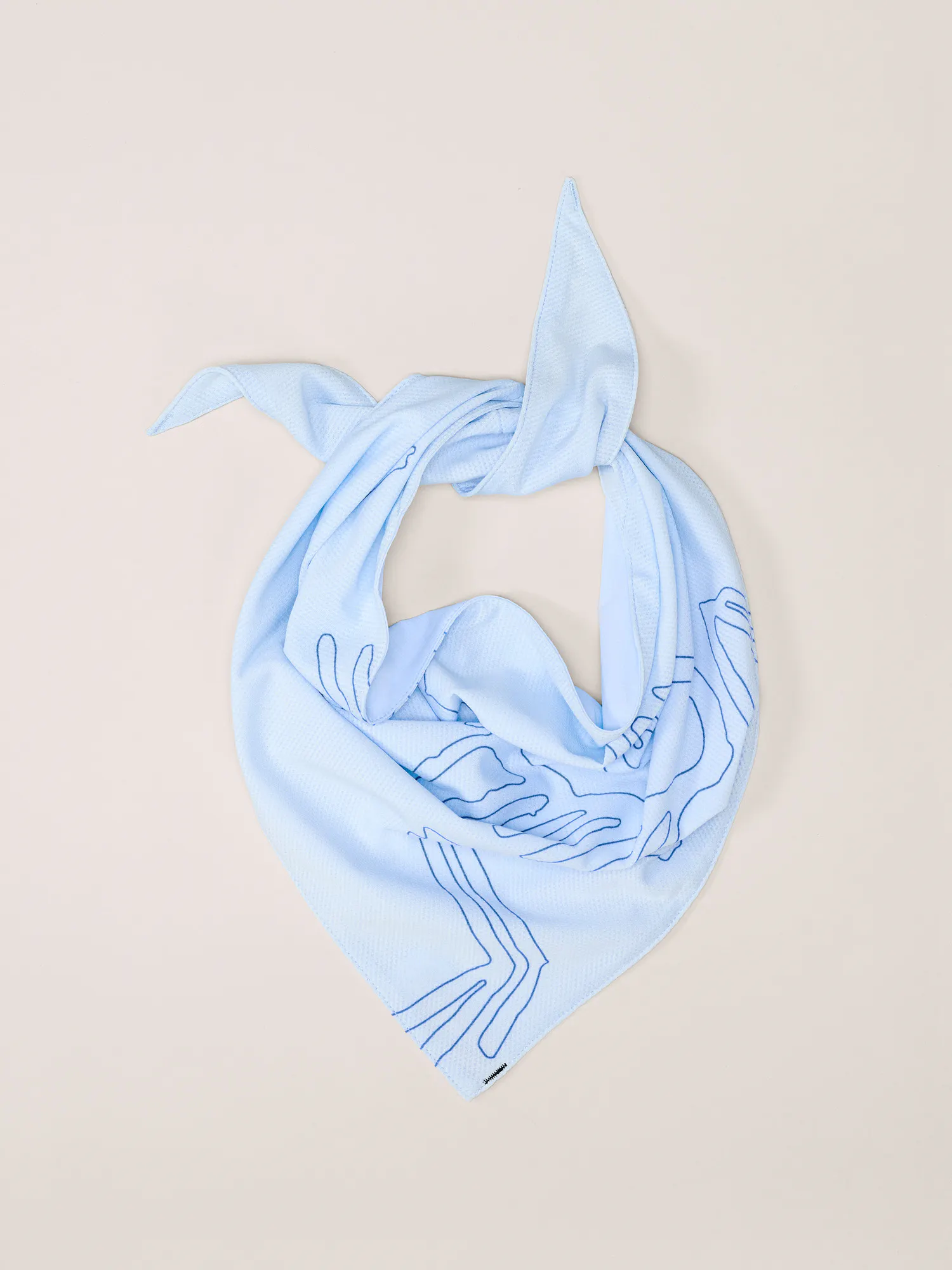 Sinsolo Bandana | Arc'teryx United States