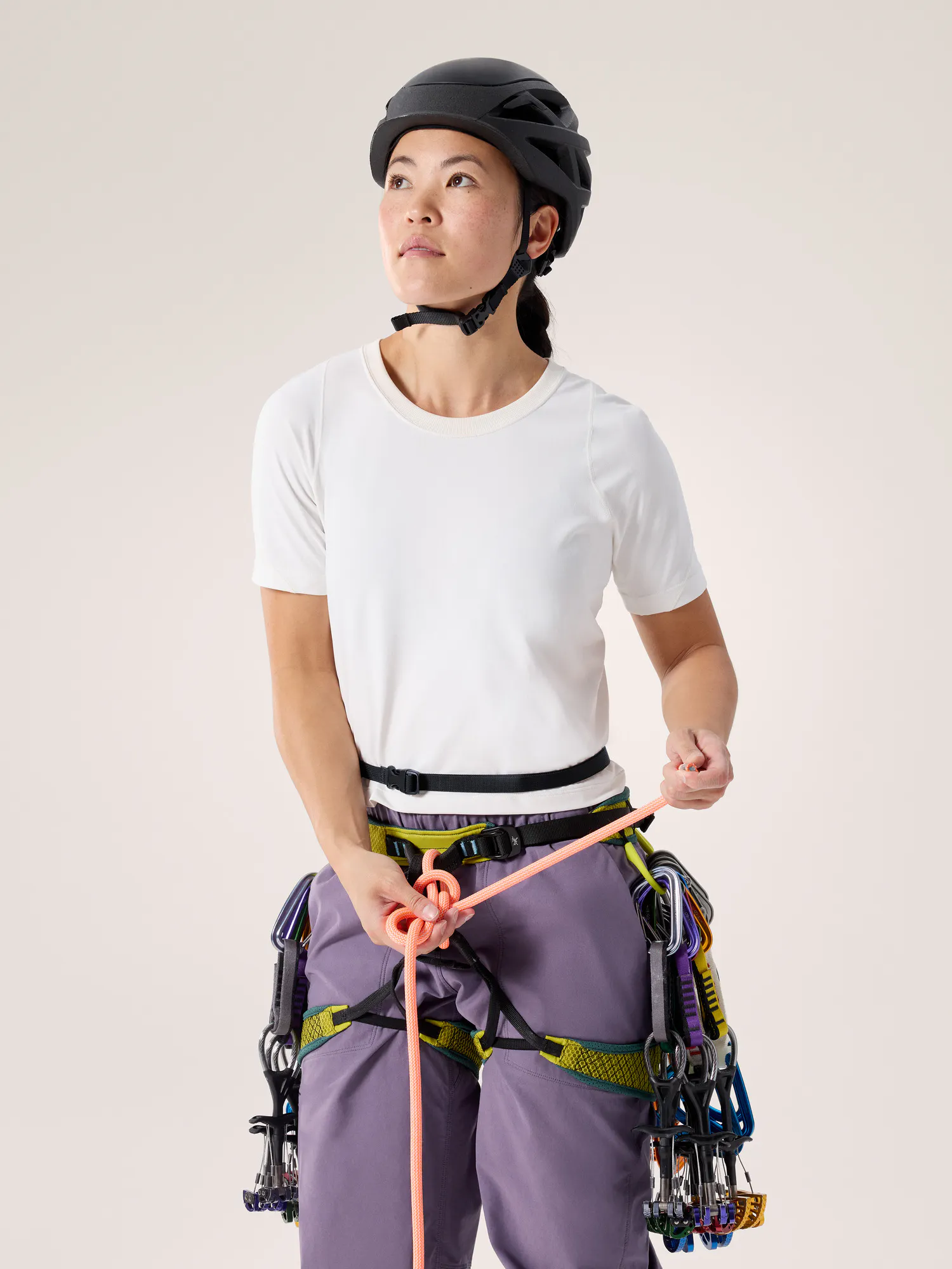 Ion SL Chalkbag | Arc