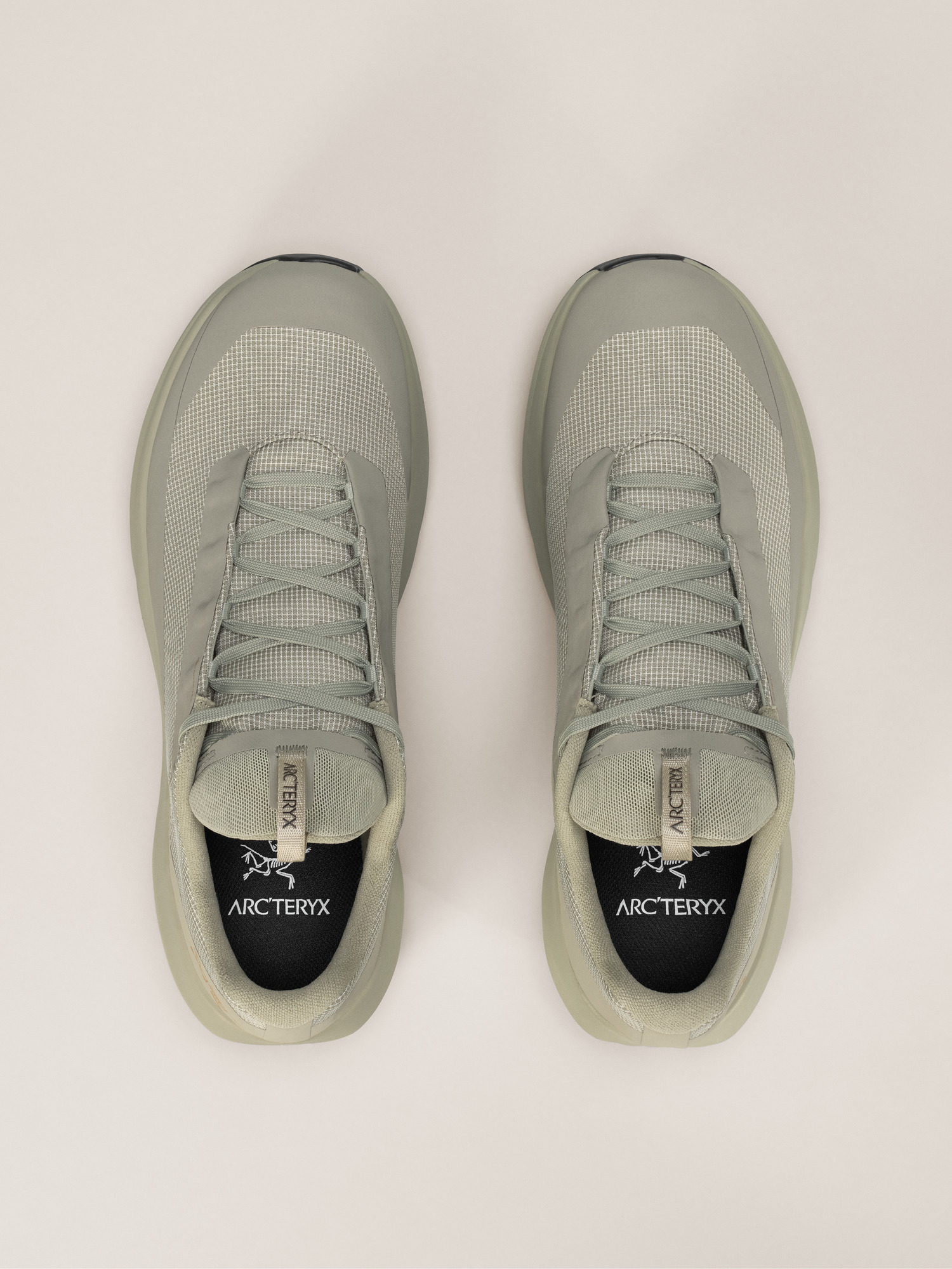 Norvan LD 4 GTX Shoe Habitat/Habitat Pair