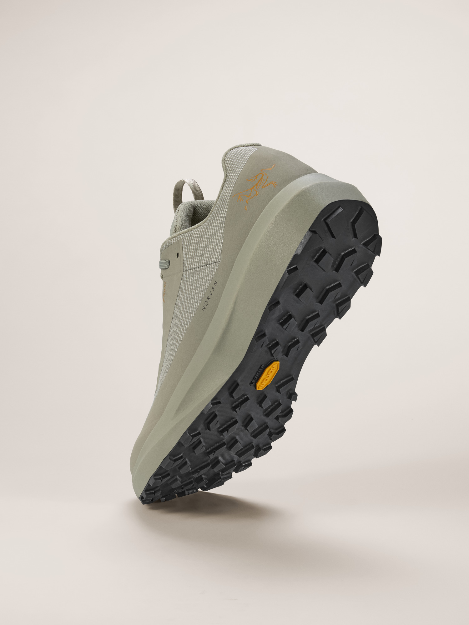 Norvan LD 4 GTX Shoe Habitat/Habitat Sole