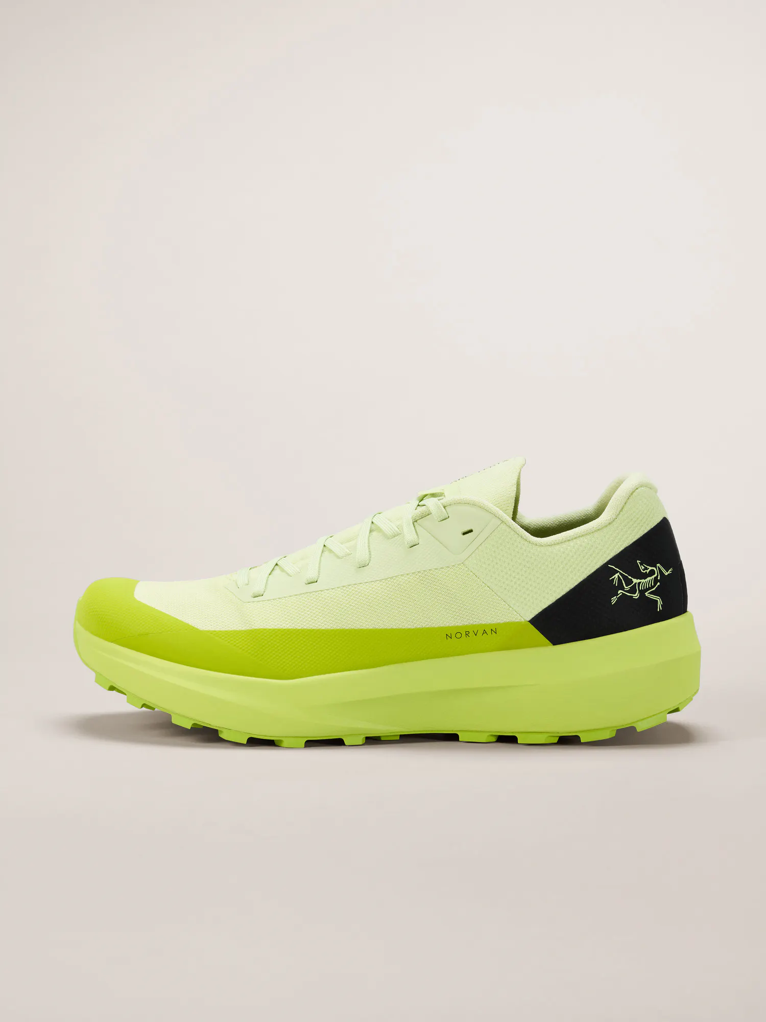 Norvan LD 4 Shoe Men's