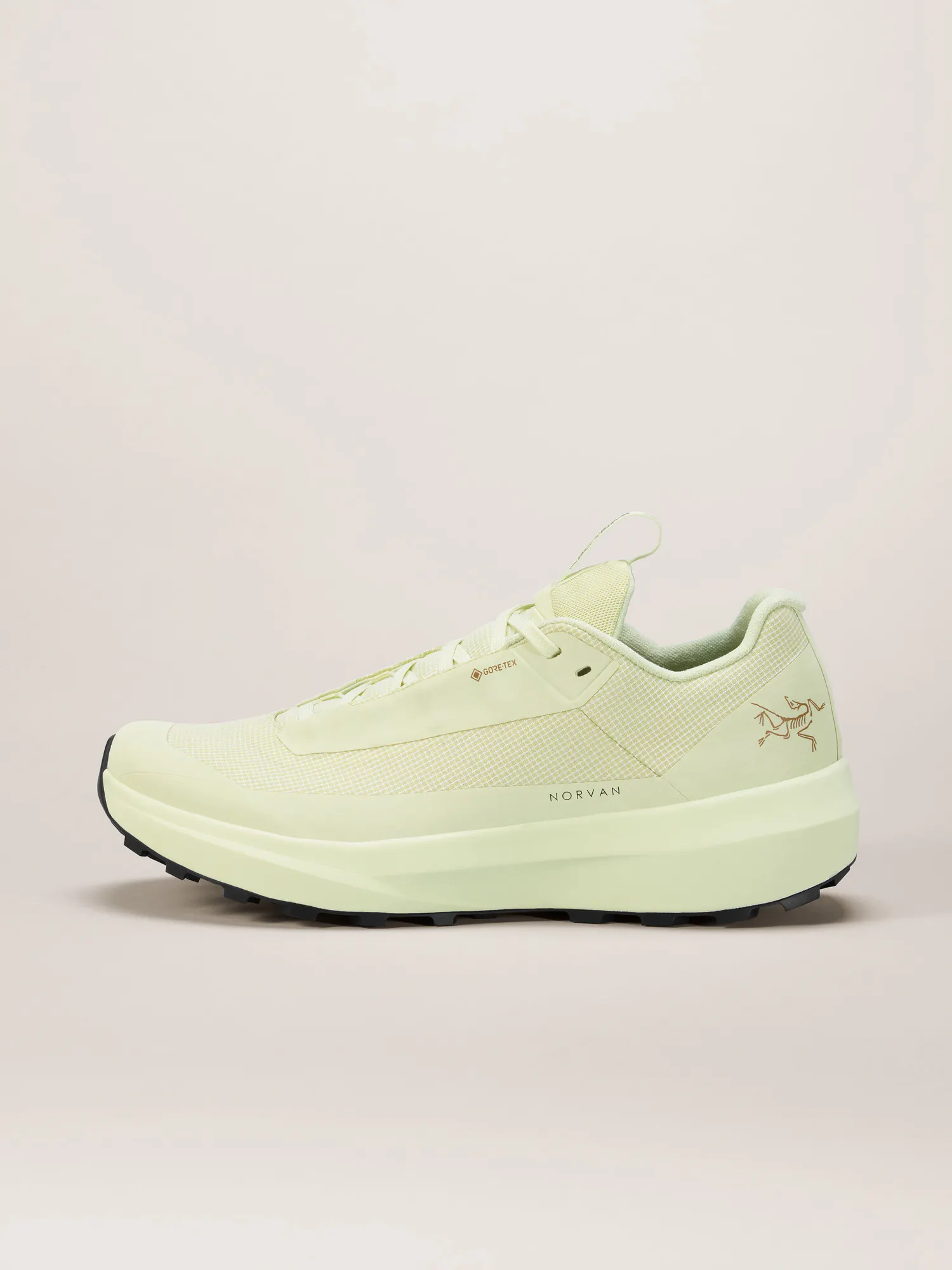 Norvan LD 4 GTX Shoe Women's