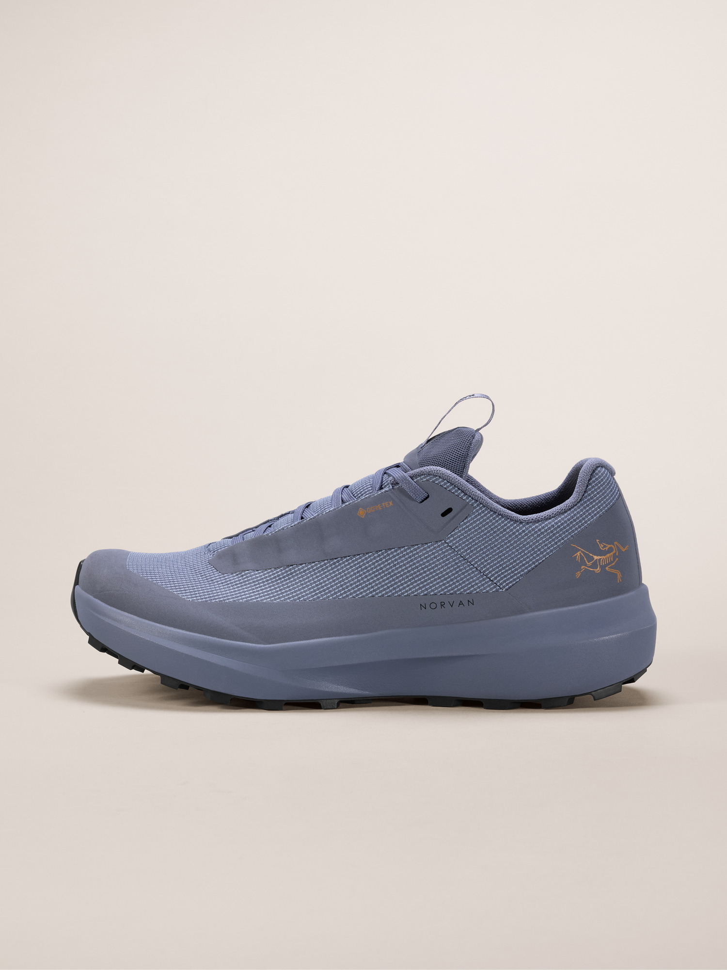 Norvan LD 4 GTX Shoe Women's | Arc'teryx United States