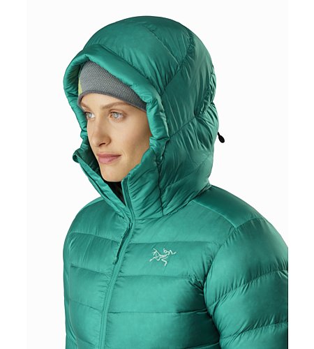 arcteryx cerium sv women