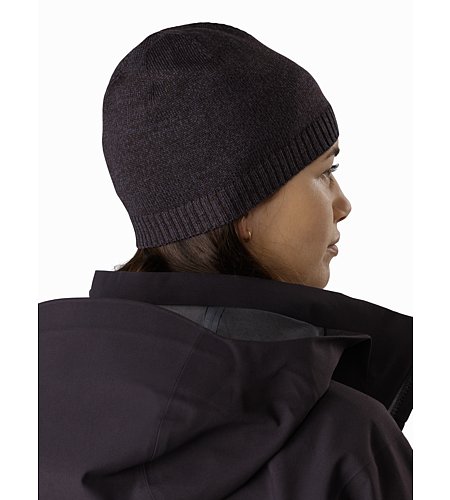 arcteryx diplomat toque beanie