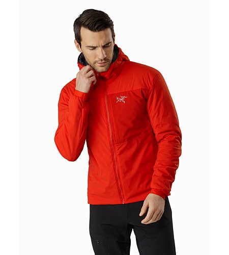 arcteryx proton lt hoody damen