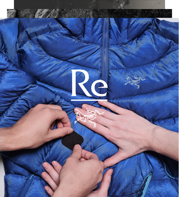 Expert Advice Feature